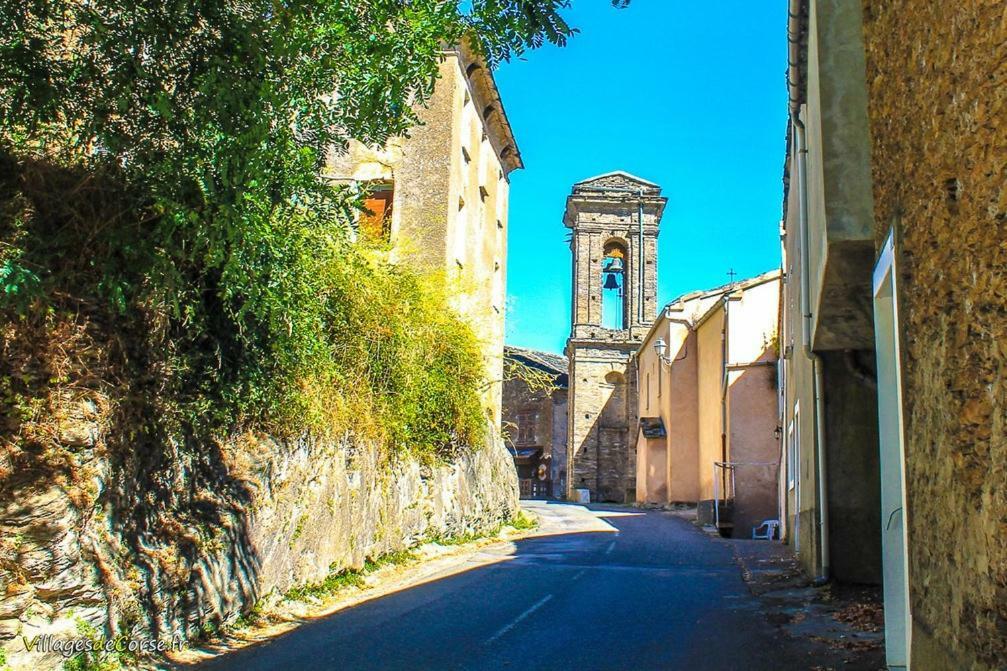 9 Rue De La Traverse Stazzona Ngoại thất bức ảnh